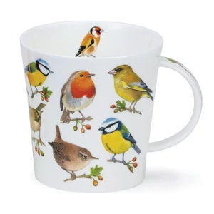 SONG BIRD - Berries