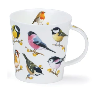 SONG BIRD - Willow