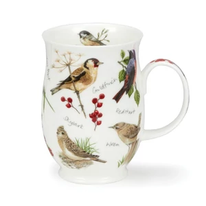 DAWN SONG - Goldfinch