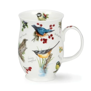 DAWN SONG - Nuthatch