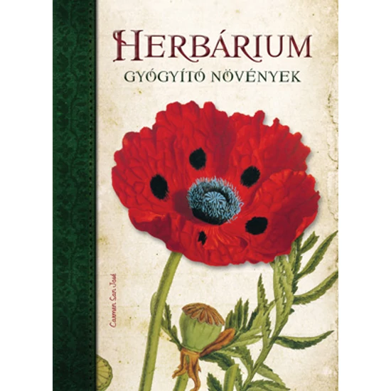 HERBÁRIUM Gyógyító növények - Carmen San José