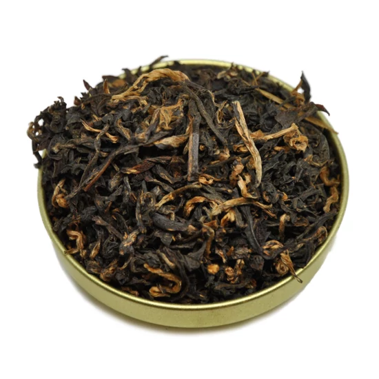 Assam Chubwa SF STGFOP1
